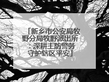 新乡市公安局牧野分局牧野派出所：深耕主防警务 守护辖区平安