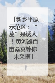 新乡平原示范区：“葚”是诱人！黄河滩百亩桑葚等你来采摘
