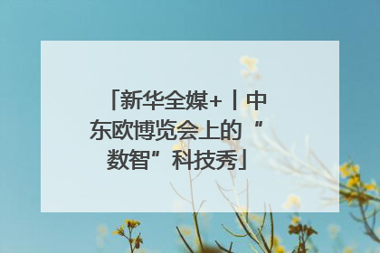 新华全媒+丨中东欧博览会上的“数智”科技秀