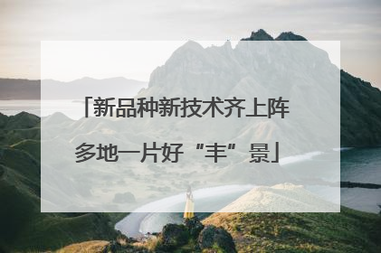 新品种新技术齐上阵 多地一片好“丰”景