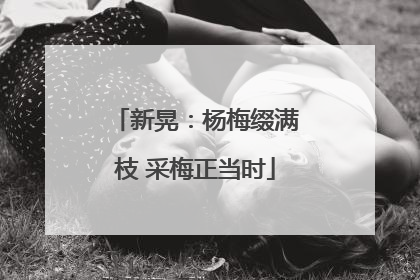 新晃：杨梅缀满枝 采梅正当时