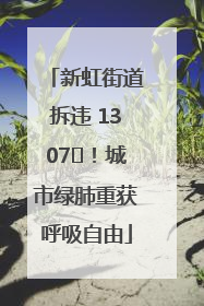新虹街道拆违 1307㎡！城市绿肺重获呼吸自由