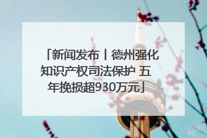 新闻发布丨德州强化知识产权司法保护 五年挽损超930万元