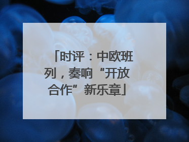 时评：中欧班列，奏响“开放合作”新乐章
