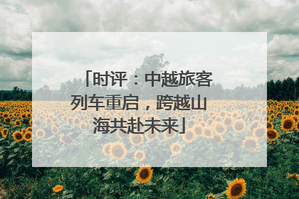 时评：中越旅客列车重启，跨越山海共赴未来