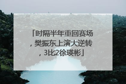 时隔半年重回赛场，樊振东上演大逆转，3比2徐瑛彬