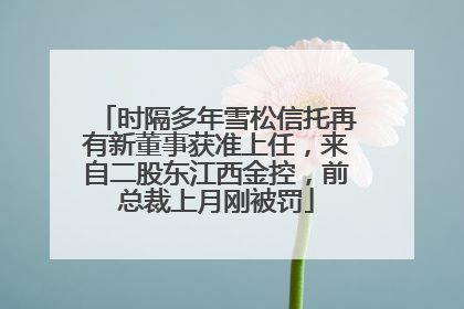 时隔多年雪松信托再有新董事获准上任，来自二股东江西金控，前总裁上月刚被罚