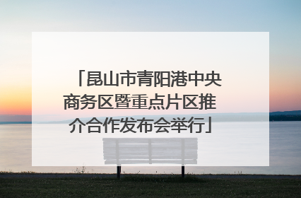 昆山市青阳港中央商务区暨重点片区推介合作发布会举行