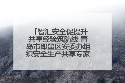 智汇安全促提升 共享经验筑防线 青岛市即墨区安委办组织安全生产共享专家现场观摩学习活动