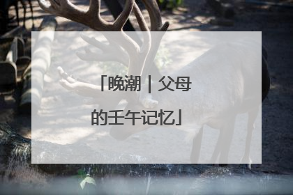 晚潮｜父母的壬午记忆