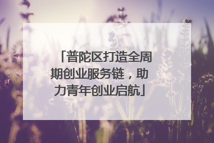 普陀区打造全周期创业服务链，助力青年创业启航