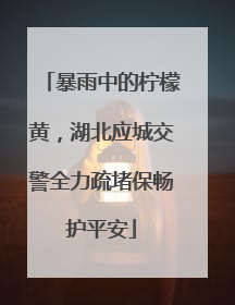 暴雨中的柠檬黄，湖北应城交警全力疏堵保畅护平安