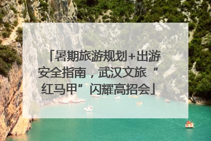 暑期旅游规划+出游安全指南，武汉文旅“红马甲”闪耀高招会