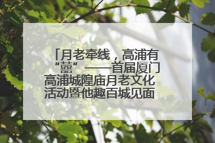 月老牵线，高浦有“囍”——首届厦门高浦城隍庙月老文化活动暨他趣百城见面会隆重举办