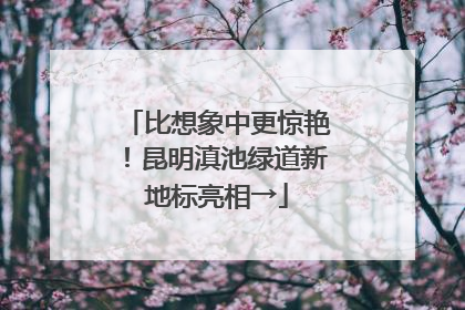 比想象中更惊艳！昆明滇池绿道新地标亮相→
