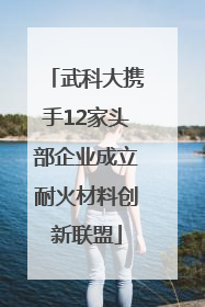 武科大携手12家头部企业成立耐火材料创新联盟