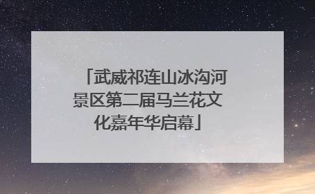 武威祁连山冰沟河景区第二届马兰花文化嘉年华启幕