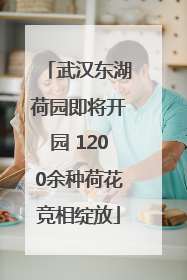 武汉东湖荷园即将开园 1200余种荷花竞相绽放
