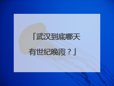武汉到底哪天有世纪晚霞？