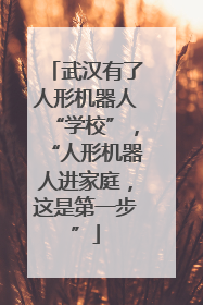 武汉有了人形机器人“学校”，“人形机器人进家庭，这是第一步”