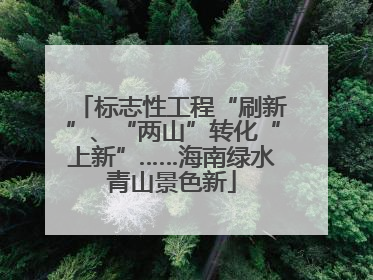 标志性工程“刷新”、“两山”转化“上新”……海南绿水青山景色新