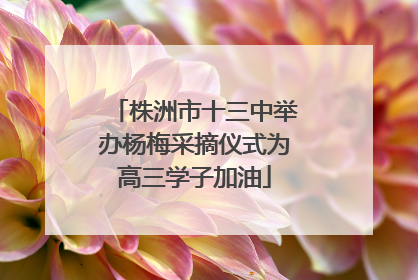 株洲市十三中举办杨梅采摘仪式为高三学子加油
