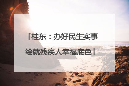 桂东：办好民生实事 绘就残疾人幸福底色