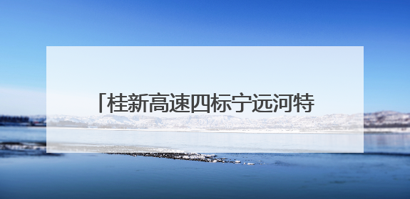 桂新高速四标宁远河特大桥、汤家坪1号桥预制T梁全部架设完成