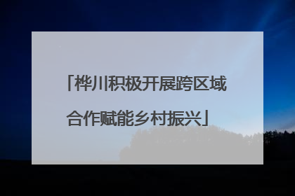 桦川积极开展跨区域合作赋能乡村振兴