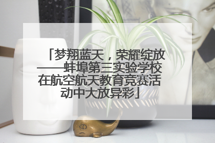 梦翔蓝天，荣耀绽放——蚌埠第三实验学校在航空航天教育竞赛活动中大放异彩