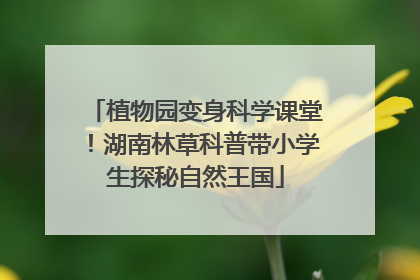 植物园变身科学课堂！湖南林草科普带小学生探秘自然王国