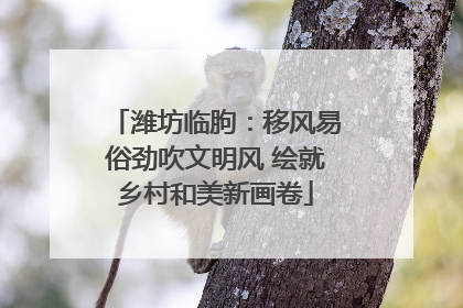 潍坊临朐：移风易俗劲吹文明风 绘就乡村和美新画卷
