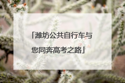 潍坊公共自行车与您同奔高考之路