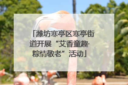 潍坊寒亭区寒亭街道开展“艾香童趣·粽情敬老”活动