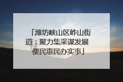 潍坊峡山区岞山街道：聚力集采谋发展 便民惠民办实事