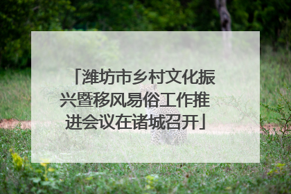 潍坊市乡村文化振兴暨移风易俗工作推进会议在诸城召开