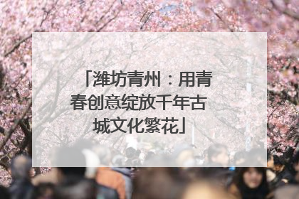潍坊青州：用青春创意绽放千年古城文化繁花