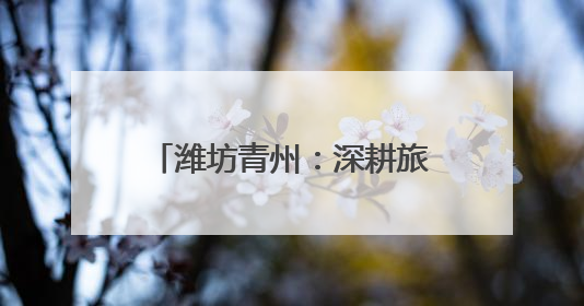 潍坊青州：深耕旅游商品研发推广 为文旅产业高质量发展注入强劲动力