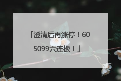 澄清后再涨停！605099六连板！