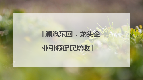 澜沧东回：龙头企业引领促民增收