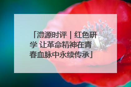 澧源时评｜红色研学 让革命精神在青春血脉中永续传承