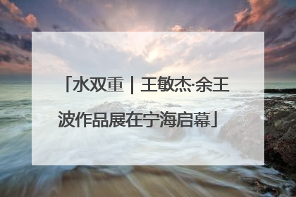 水双重｜王敏杰·余王波作品展在宁海启幕