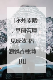 永州零陵：早稻管理见成效 稻浪飘香穗满田