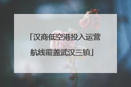 汉商低空港投入运营 航线覆盖武汉三镇