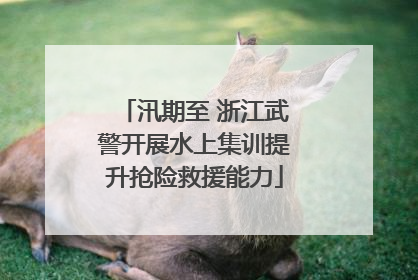 汛期至 浙江武警开展水上集训提升抢险救援能力