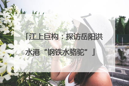 江上巨构：探访岳阳洪水港“钢铁水骆驼”