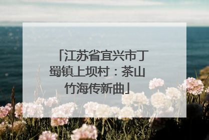 江苏省宜兴市丁蜀镇上坝村：茶山竹海传新曲