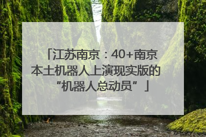 江苏南京：40+南京本土机器人上演现实版的“机器人总动员”