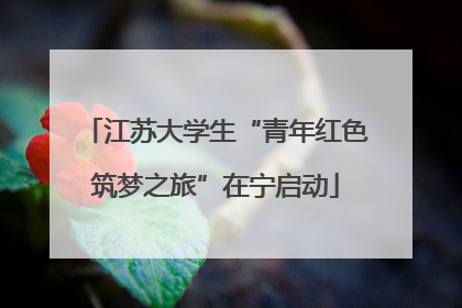 江苏大学生“青年红色筑梦之旅”在宁启动