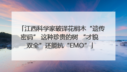 江西科学家破译花榈木“遗传密码” 这种珍贵的树 “才貌双全”还能抗“EMO”